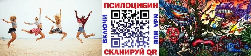 Псилоцибиновые грибы Magic Shrooms как найти закладки Рошаль